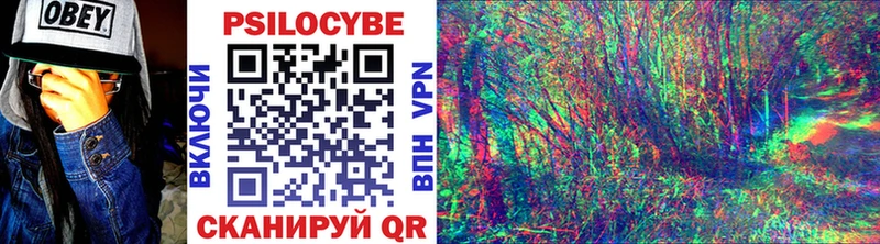 kraken   закладка  Кириллов  Псилоцибиновые грибы Psilocybe 